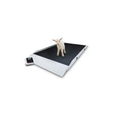 Rice Lake VS-40 Large Dual Ramp